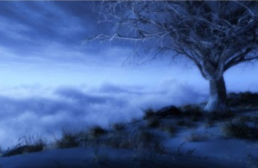 Winter New