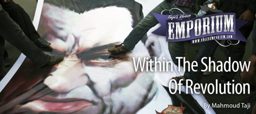 Within The Shadow Of Revolution